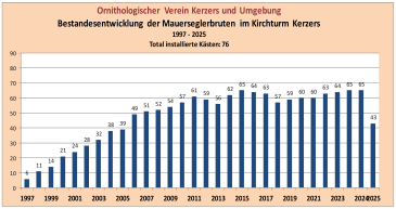 Mauersegler Statistik 2025