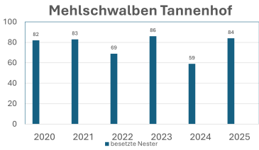 Mehlschwalben Tannenhof Statistik 2025
