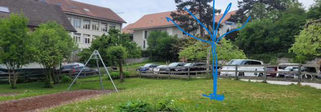 Gedenkbaum für Bruno