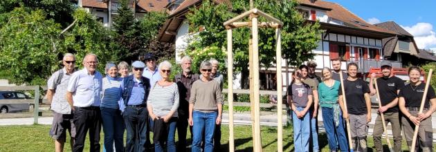 Gedenkbaum für Bruno