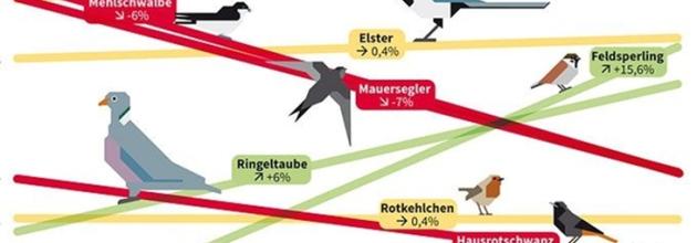 Vogelschutzhöck