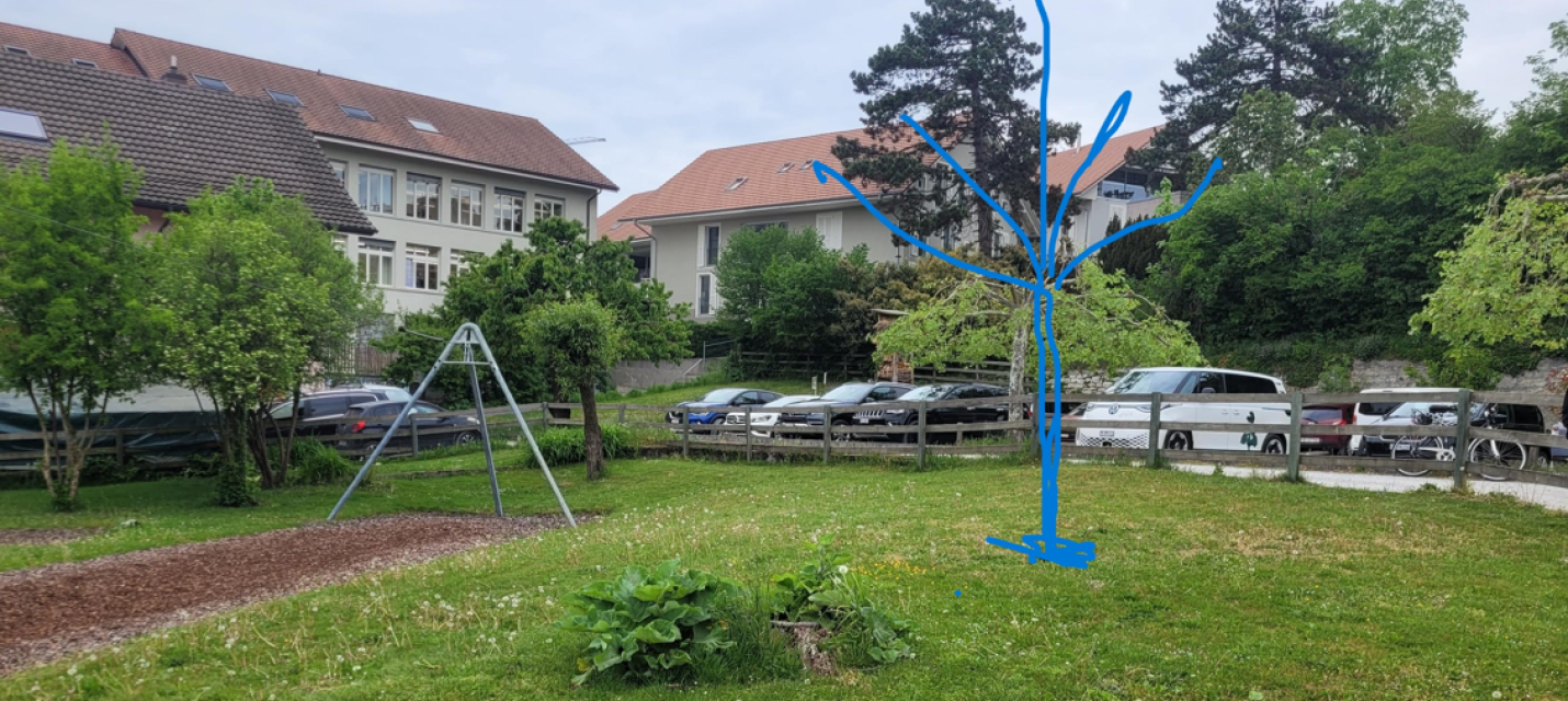 Gedenkbaum für Bruno