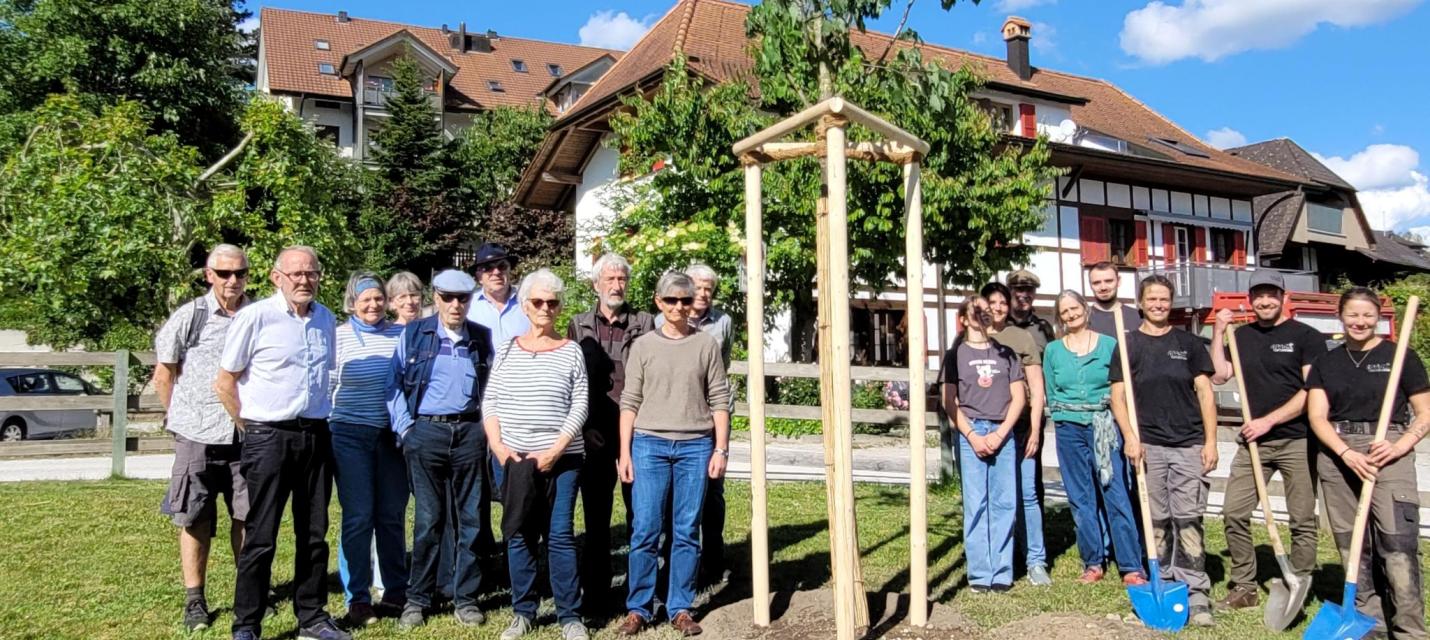 Gedenkbaum für Bruno