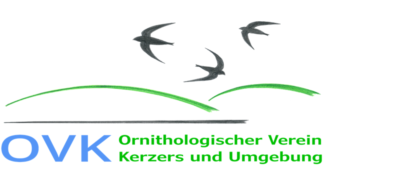 Logo_OV_Kerzers 1430 x 739 linksbündig