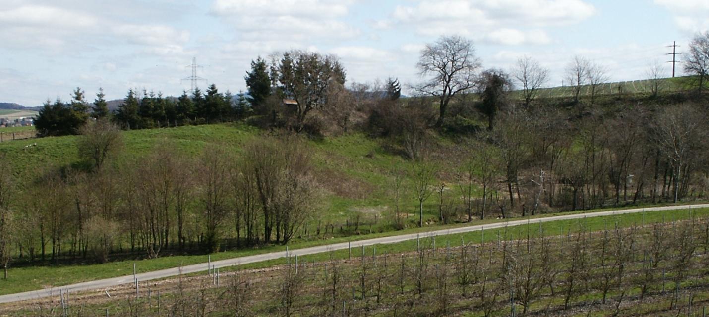 Röhligraben Ried b. Kerzers