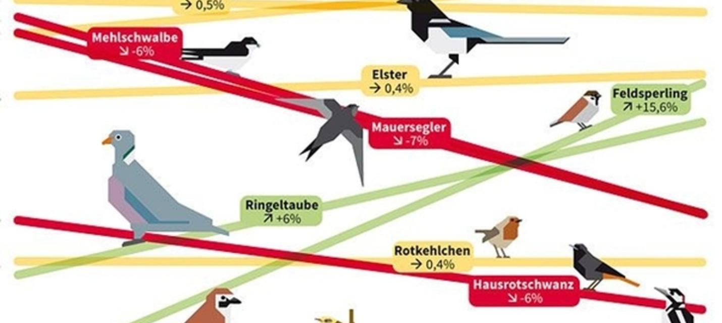 Vogelschutzhöck